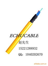 上海易初電線電纜 專業電氣設備用電纜產品列表與經營概述